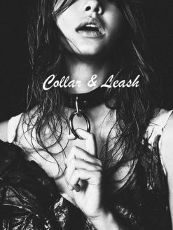Collar & Leash