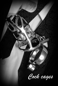 Chastity cage